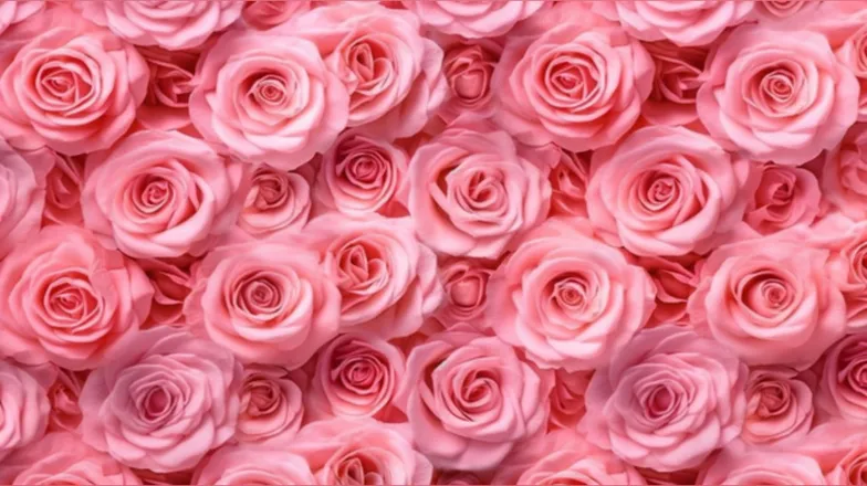 OnlyFans cuenta lily_gar header 2