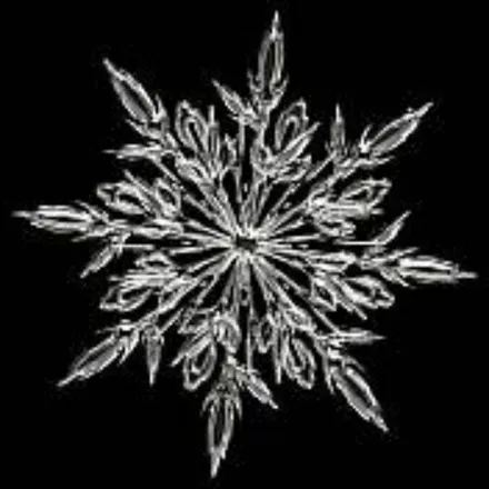 OnlyFans cuenta snowf1ake header 2