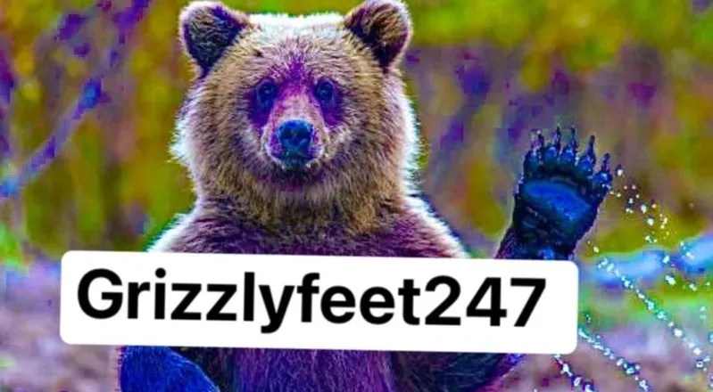 OnlyFans cuenta grizzlyfeet247 avatar 1