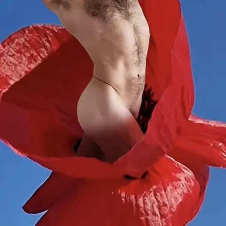 OnlyFans cuenta masculinarts avatar 1