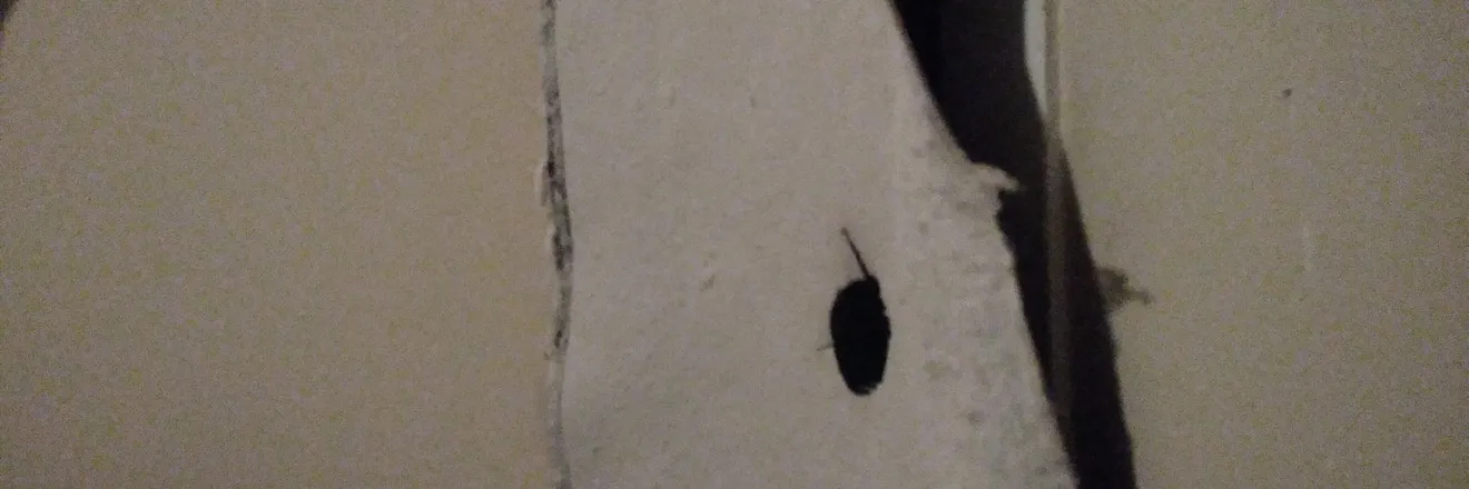 OnlyFans cuenta puscmoufs_gloryhole header 2