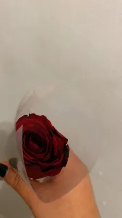 OnlyFans cuenta u226898019 header 2