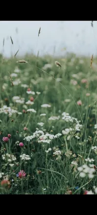 OnlyFans cuenta callmecottontail header 2