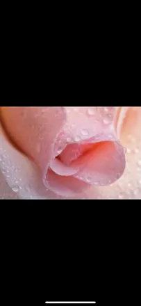 OnlyFans cuenta juicyville header 2