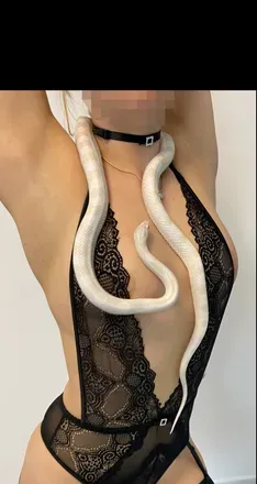 OnlyFans cuenta lacylick_couple avatar 1