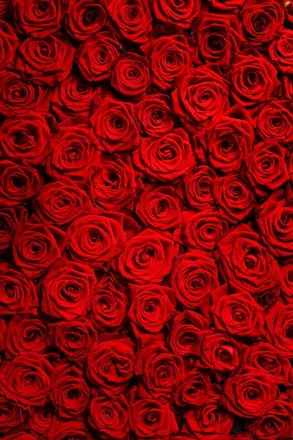 OnlyFans cuenta rhearangexo header 2