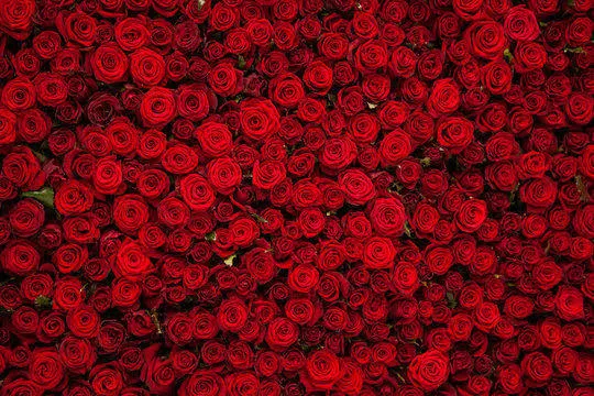 OnlyFans cuenta u164280579 header 2