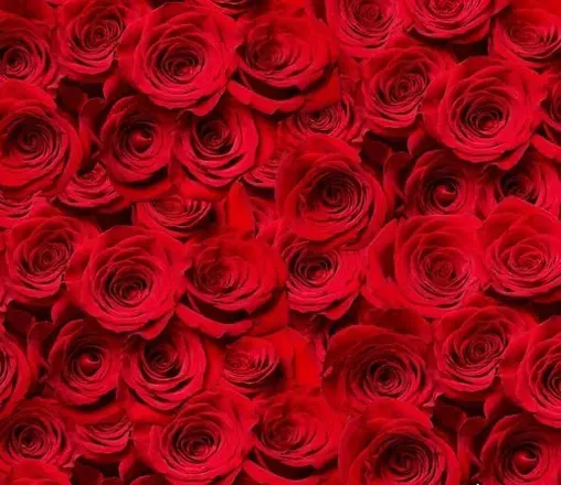 OnlyFans cuenta anajupao header 2