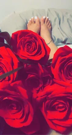 OnlyFans cuenta redsoles header 2