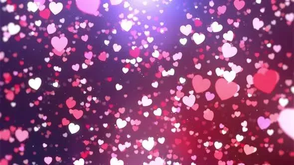 OnlyFans cuenta sasha_simple header 2