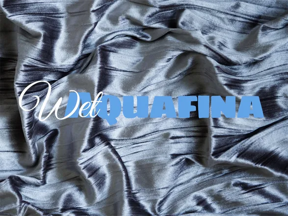 OnlyFans cuenta wetaquafina header 2
