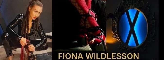 OnlyFans account  wildlesson header 2