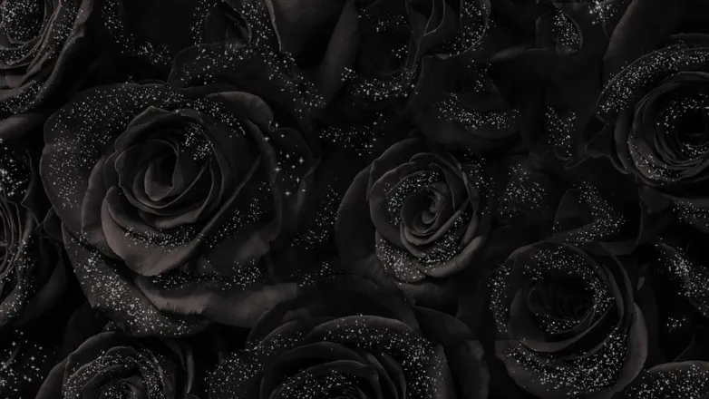 OnlyFans cuenta kkiamaria header 2