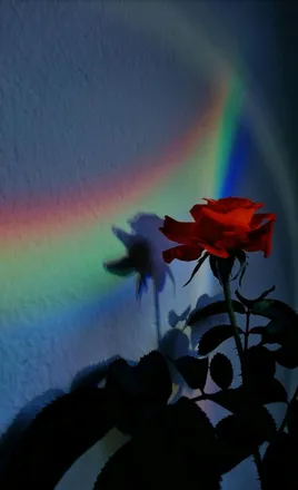 OnlyFans cuenta val1714 header 2