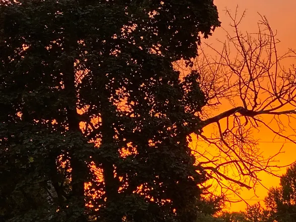 OnlyFans cuenta freakycplemakes01 header 2