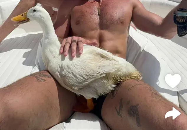 OnlyFans account  bigjd72 avatar 1