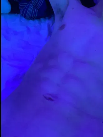 OnlyFans cuenta jday227 avatar 1