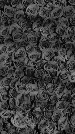 OnlyFans cuenta rachyrachxx header 2