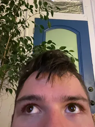 OnlyFans cuenta totallytwinked avatar 1