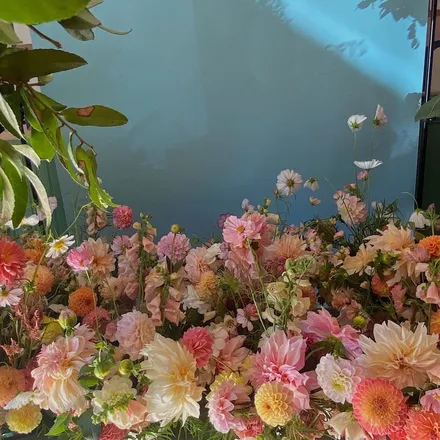 OnlyFans cuenta flowers1ut header 2