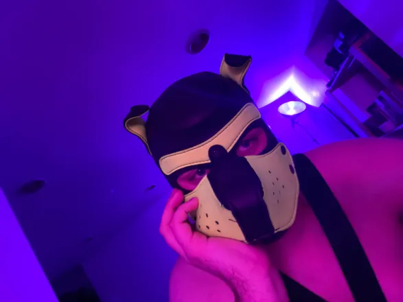 OnlyFans cuenta puppydecibel avatar 1