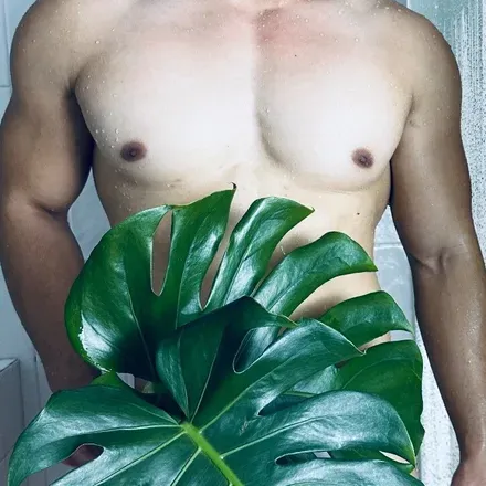 OnlyFans cuenta seetreebody avatar 1