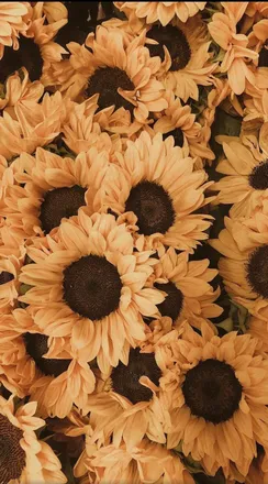 OnlyFans cuenta savannahsteel header 2