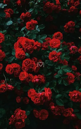 OnlyFans cuenta runnin-it header 2