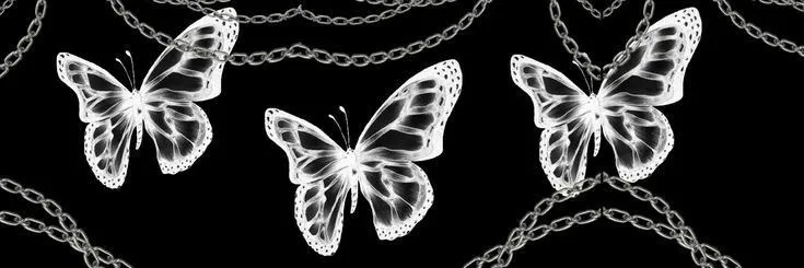 OnlyFans cuenta thenikkinorthh header 2