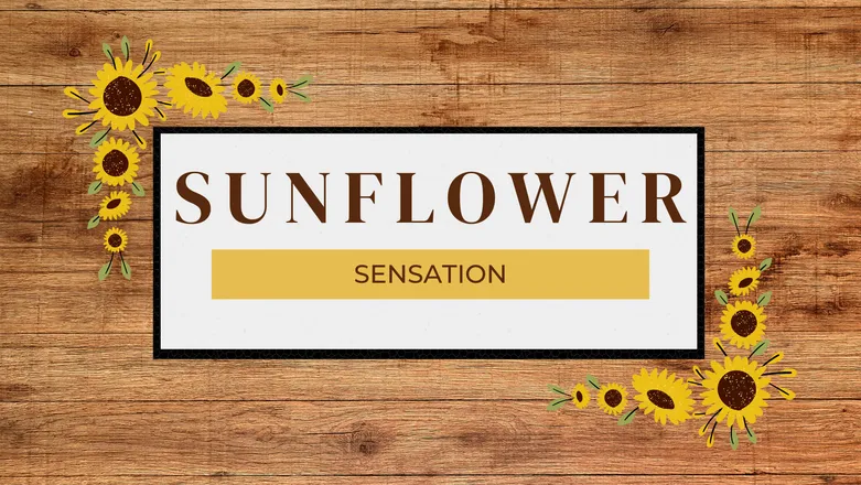 OnlyFans cuenta sunflowersensation9 header 2