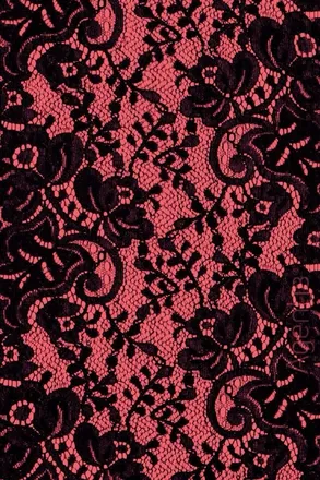 OnlyFans cuenta taylorleeisonline header 2
