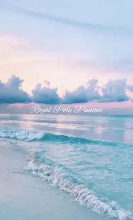 OnlyFans cuenta royalpolypunani header 2
