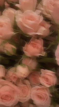 OnlyFans cuenta lovelessseruh header 2