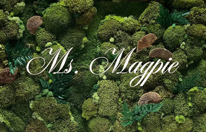 OnlyFans cuenta ms.magpie header 2