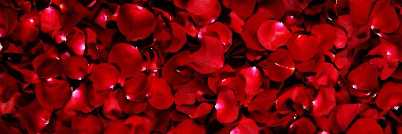 OnlyFans account  goddess_zizi23 header 2