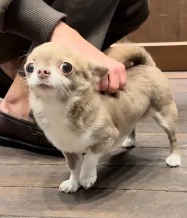 OnlyFans of yuriany