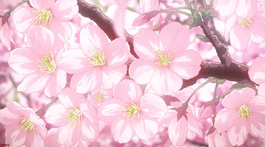 OnlyFans cuenta asuna7chan header 2