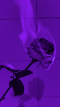 OnlyFans cuenta blackwolfyprincess header 2
