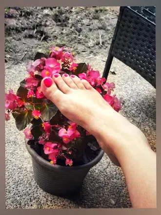 OnlyFans cuenta fancyfeetfootography avatar 1