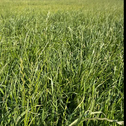 OnlyFans cuenta naughtyfarming header 2
