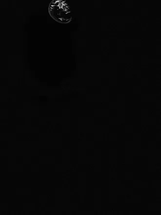 OnlyFans account  iscreamuscream header 2
