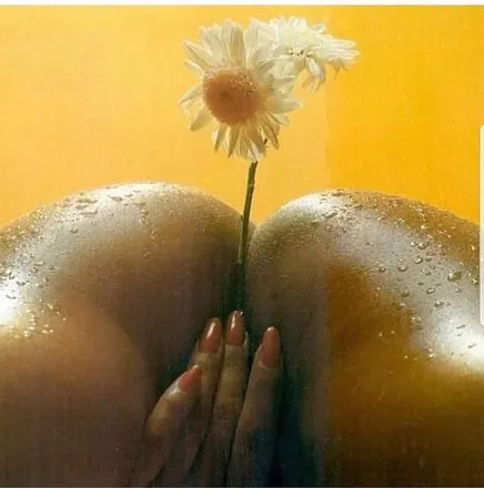 OnlyFans account  pizzafairy header 2