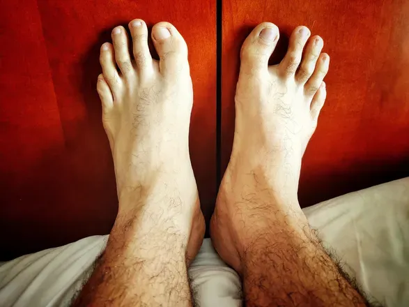 OnlyFans cuenta bearfootpolock avatar 1