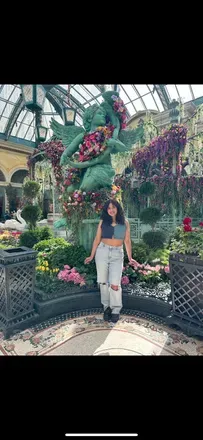 OnlyFans cuenta viixiiefoxx avatar 1