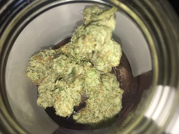OnlyFans cuenta sexy_stoner69 header 2