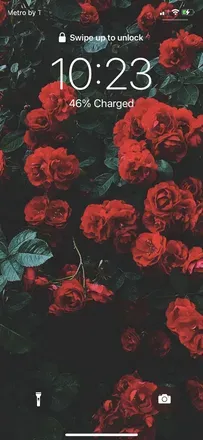 OnlyFans cuenta camilaveronica header 2