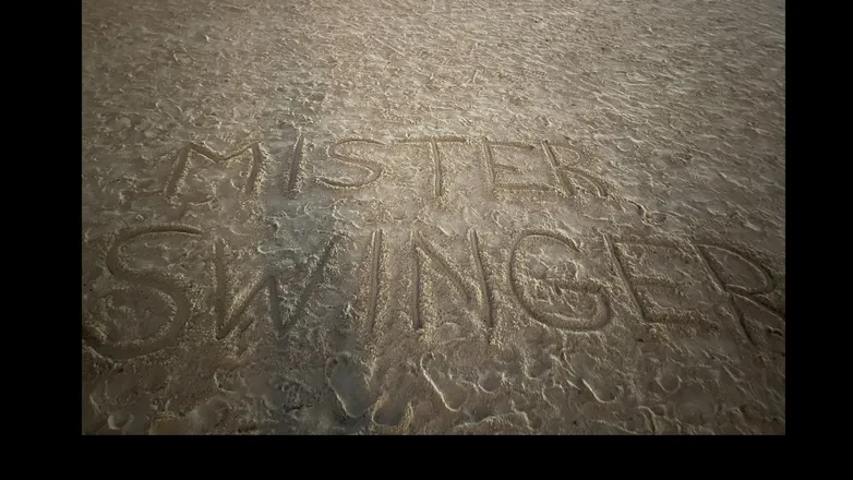 OnlyFans account  mister_swinger header 2