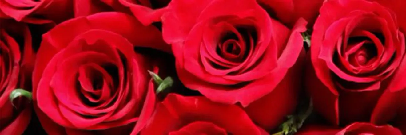 OnlyFans cuenta thepinkpussyoff header 2