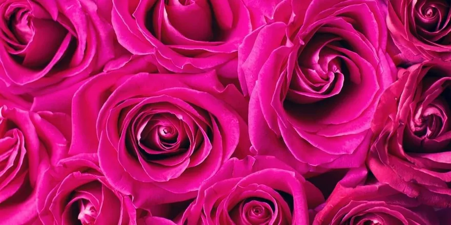 OnlyFans cuenta virgo_girl_love header 2