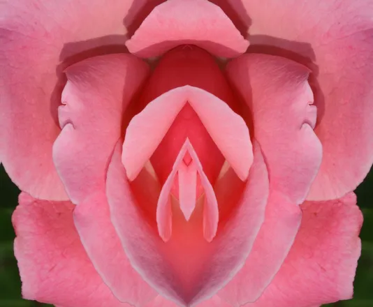 OnlyFans cuenta honeycocoabuttergoddes header 2